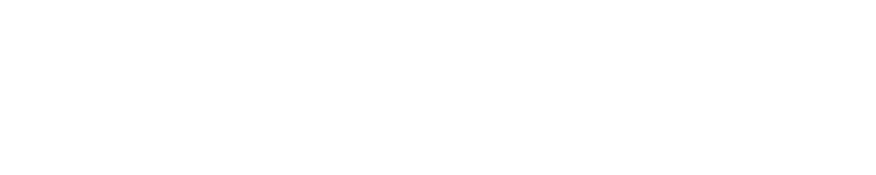 Birdie Legal